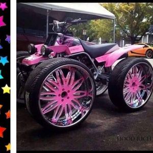 Meet your Posher, Harley